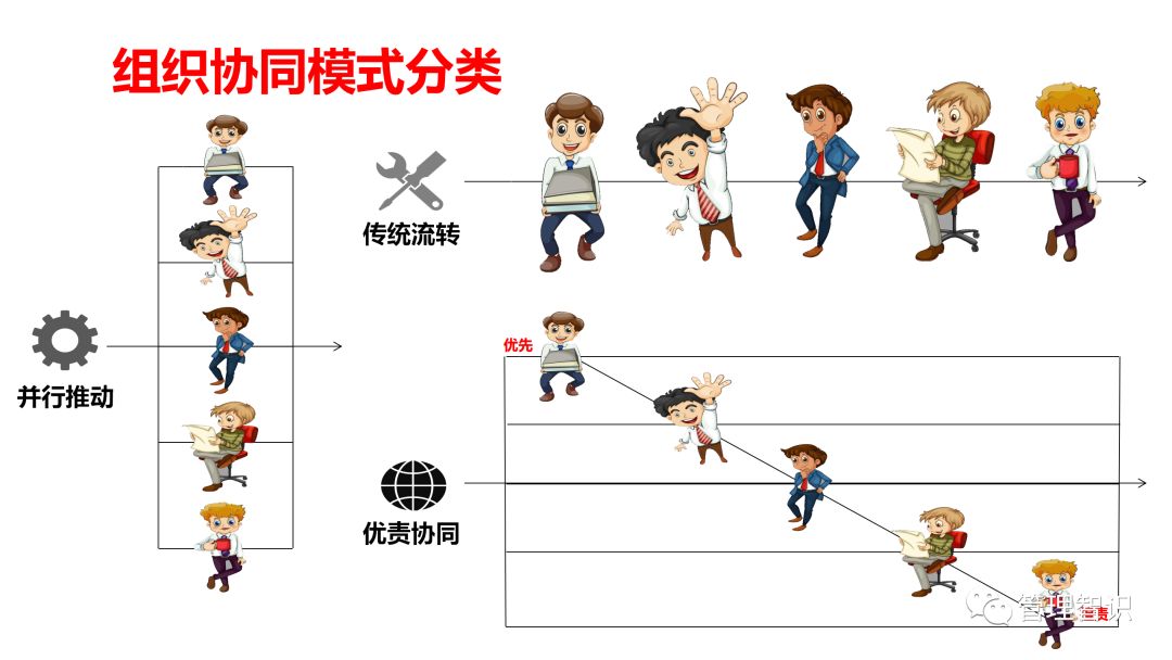 组织协同与效能提升