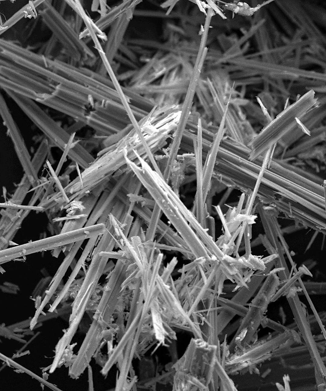 显微镜下 - 热门商品专区