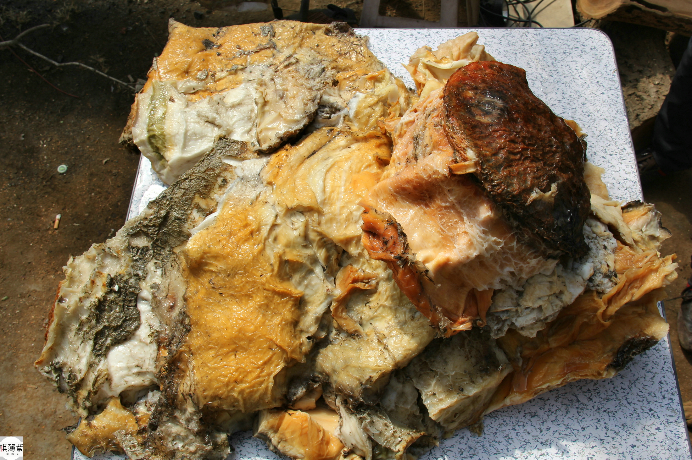 卖太岁 - 2020年最新商品信息聚合专区 - 百度爱采购