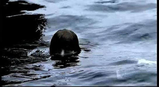 最可怕的水鬼动物图片