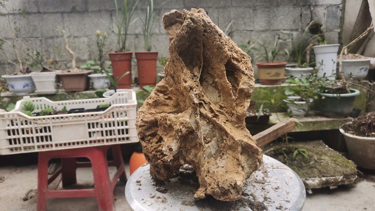 小伙进山,顺着路边都能捡到好看的石头,拿去做盆景鱼缸太好看了