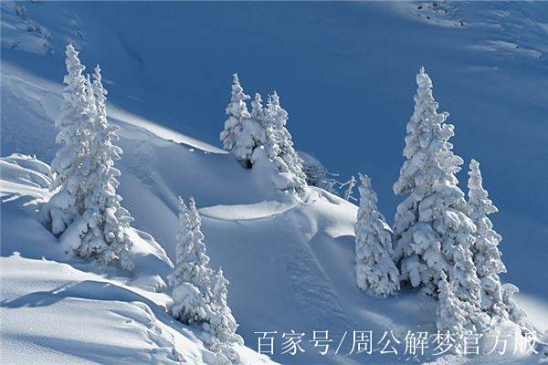梦境中的雪花，探索做梦梦到下雪的深层含义