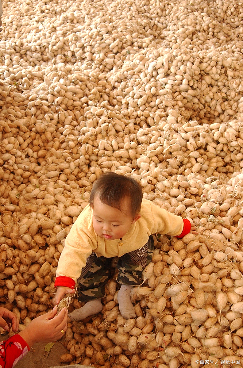 解读蒙台梭利：父母不是孩子的掌控者，而是孩子成长的协助者！