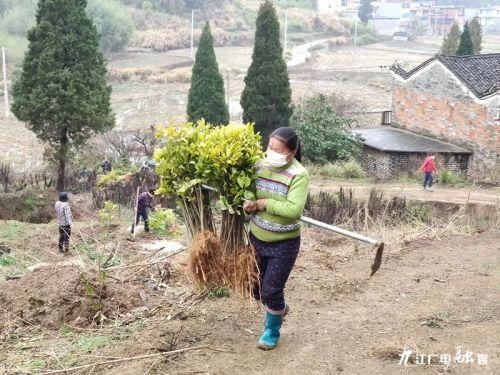 德安县老照片图片