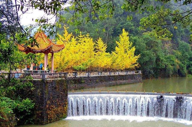 广东最美省道s244全长300公里 可自驾可骑行