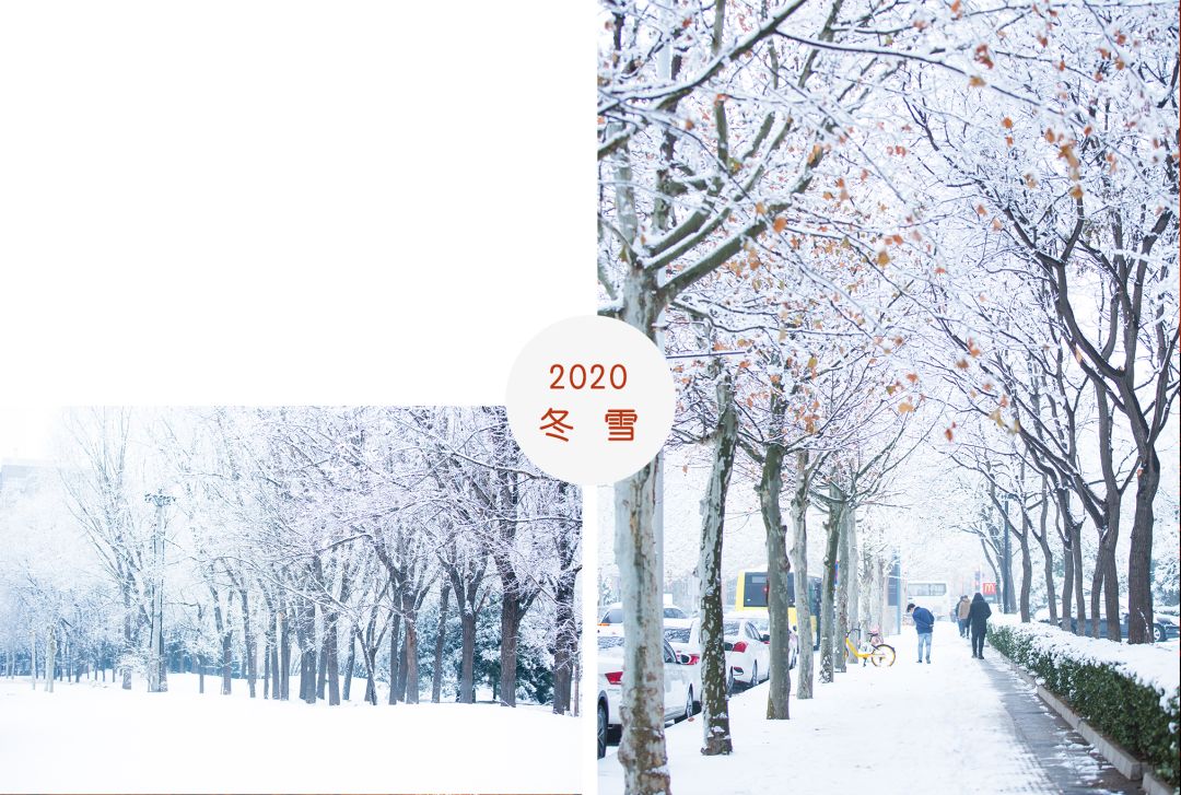 2020年的第一場雪,距離2002年的第一場雪,已經18年了!