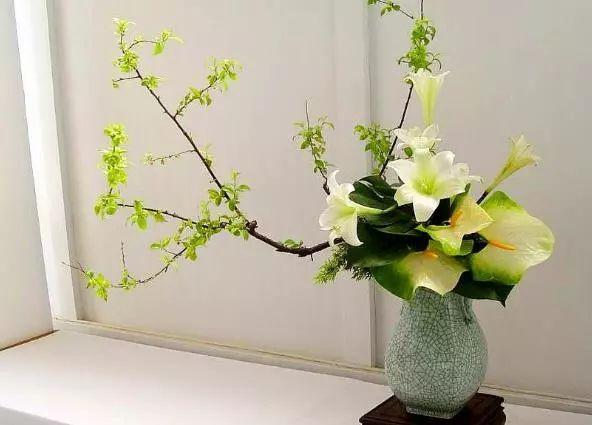 简单的生活就是插插花,画张画,练练字,看看书.