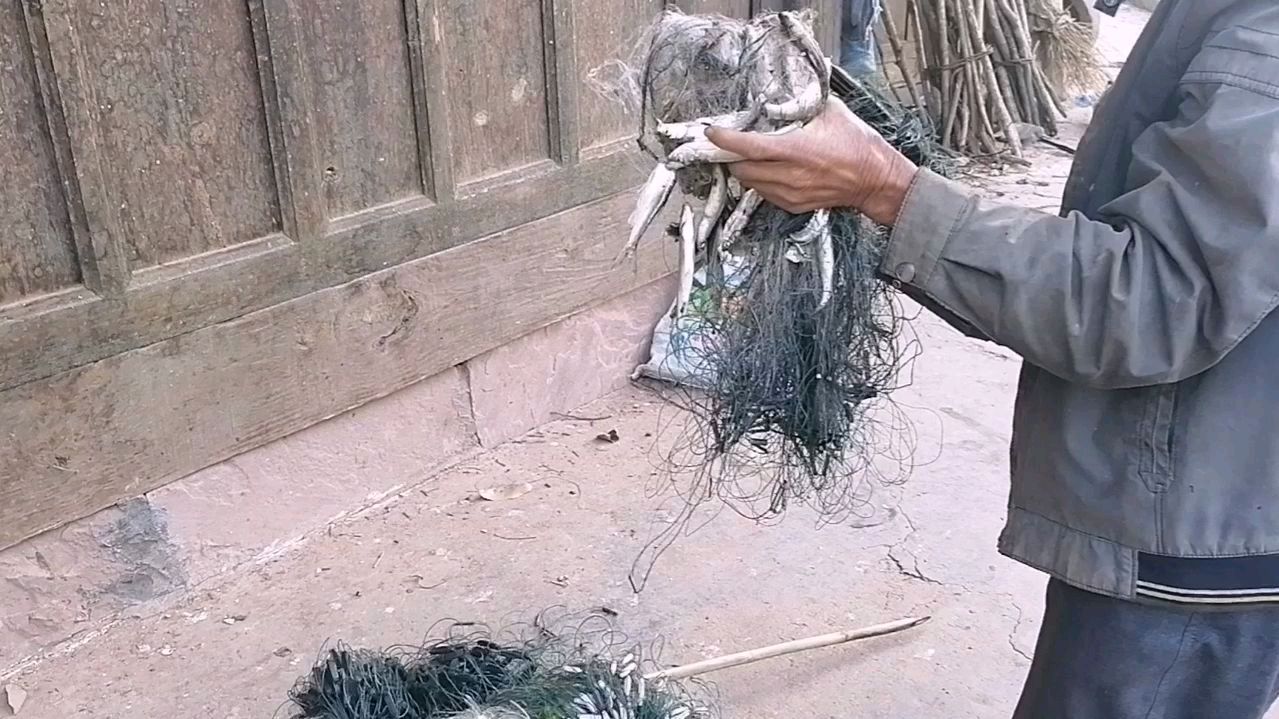 爸今天网了很多鱼!看看我老婆是怎样用这些鱼做岀美味的鱼干