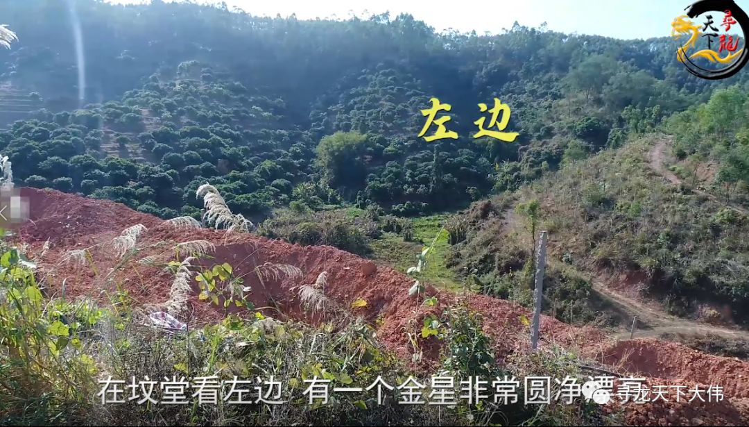 寻龙天下大伟带你去欣赏高州九代富 传说可以发富九代 很多爱好者都