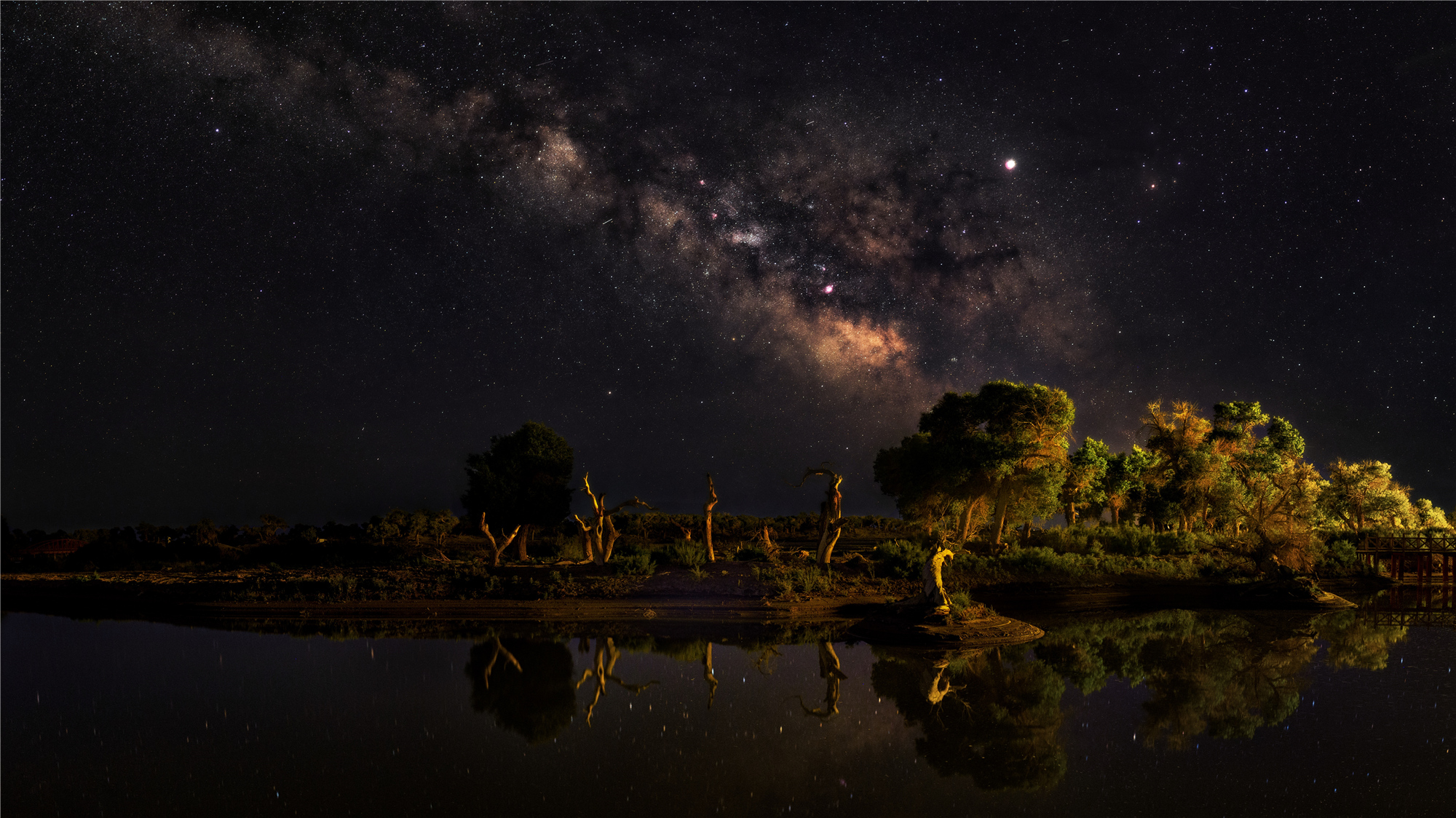 额济纳黑城弱水胡杨风景区——月夜星河
