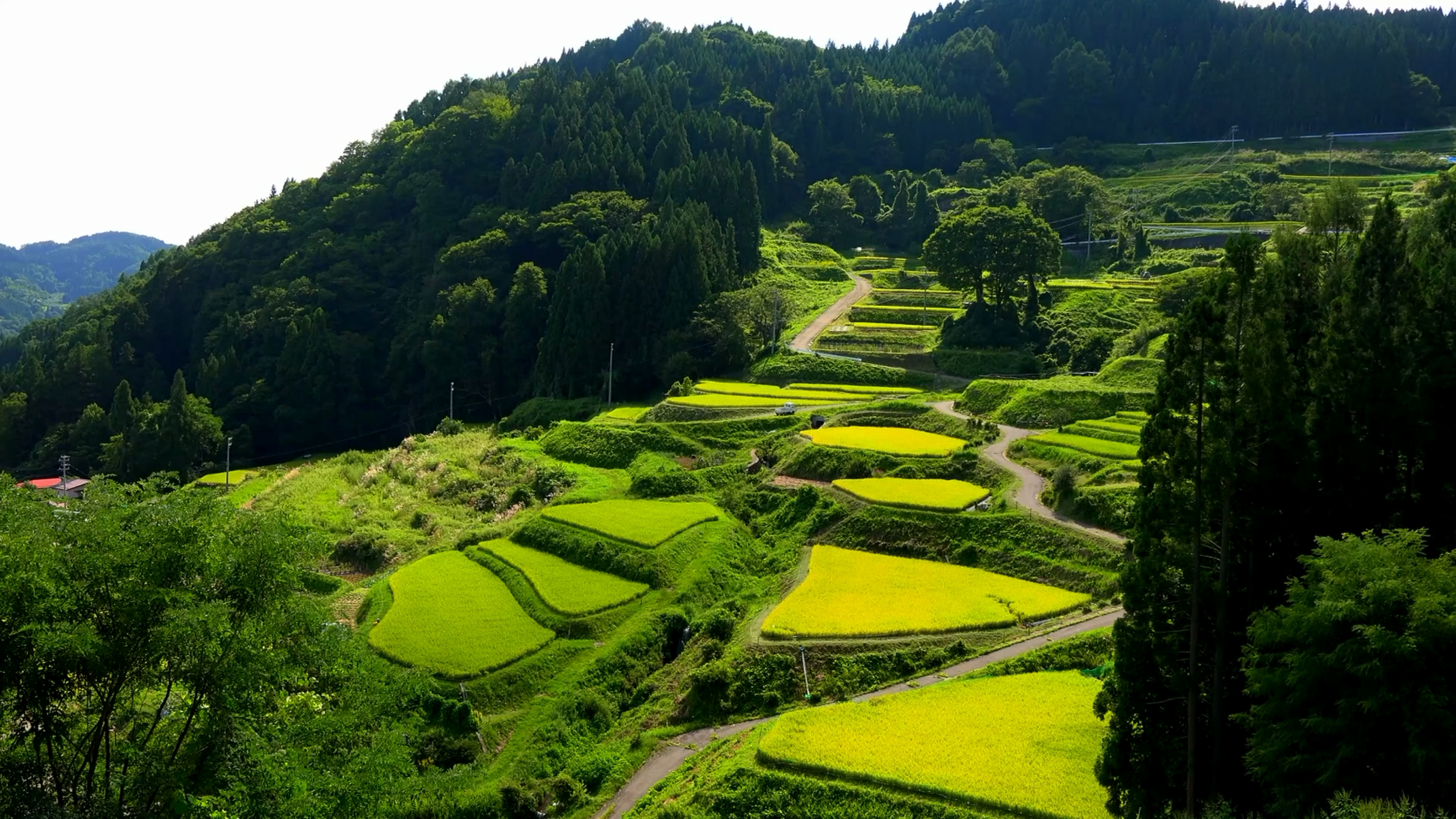 看风景 郊外美景