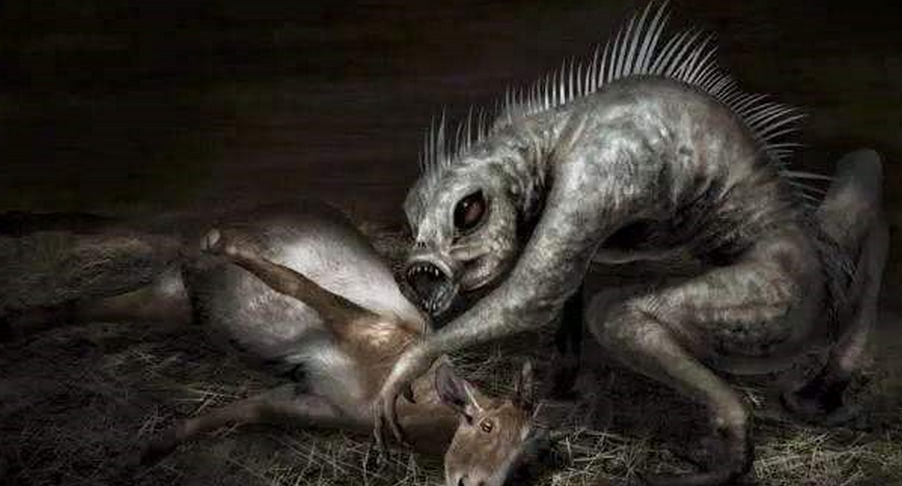 鹿角翼兔——美国本土的十一种恐怖怪物