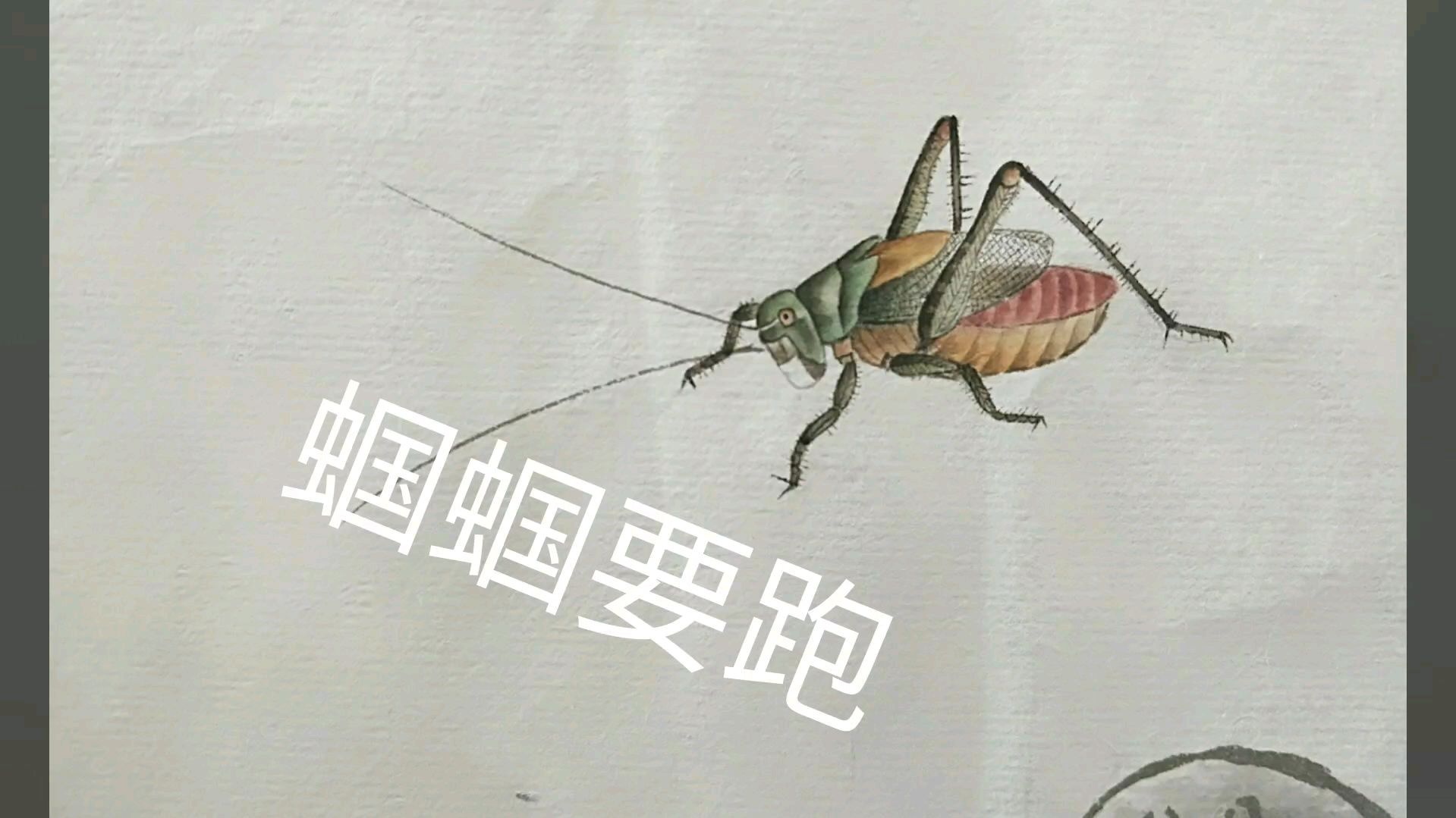 齐白石养的蝈蝈要跑