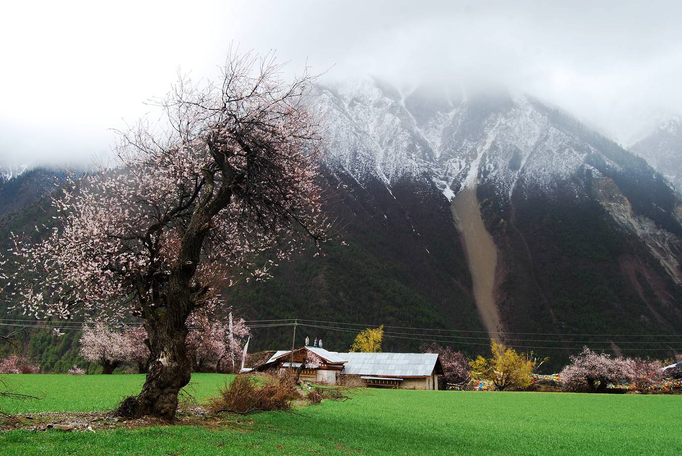 西藏这个县城严禁外国人入内,普通人需携带两种证件,才可以进去