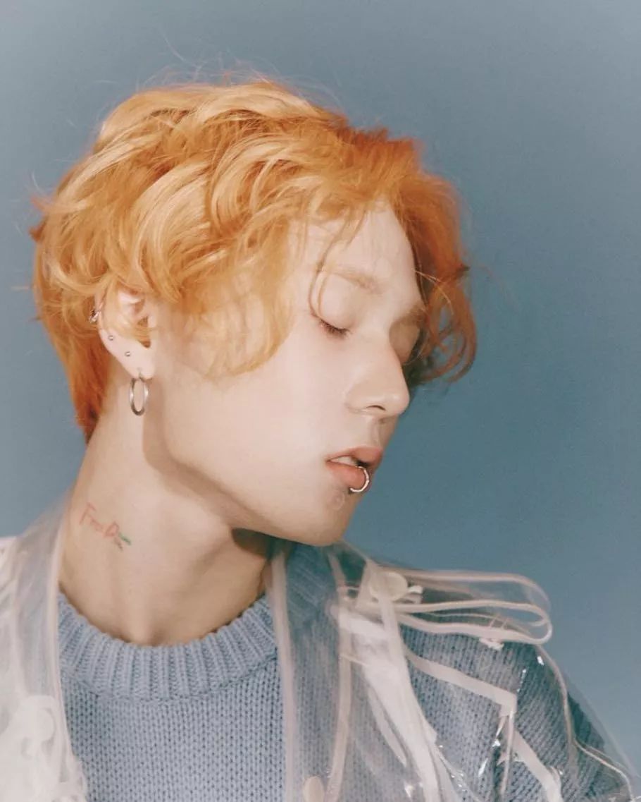 换了泫雅的泡面卷,怎么还惦记着杨幂的漫画卷?