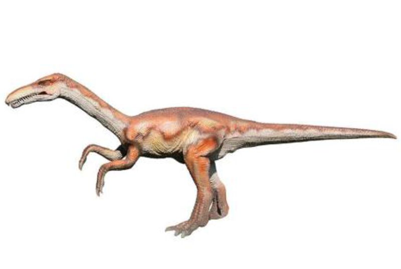 两条腿走路的恐龙,你认识吗?