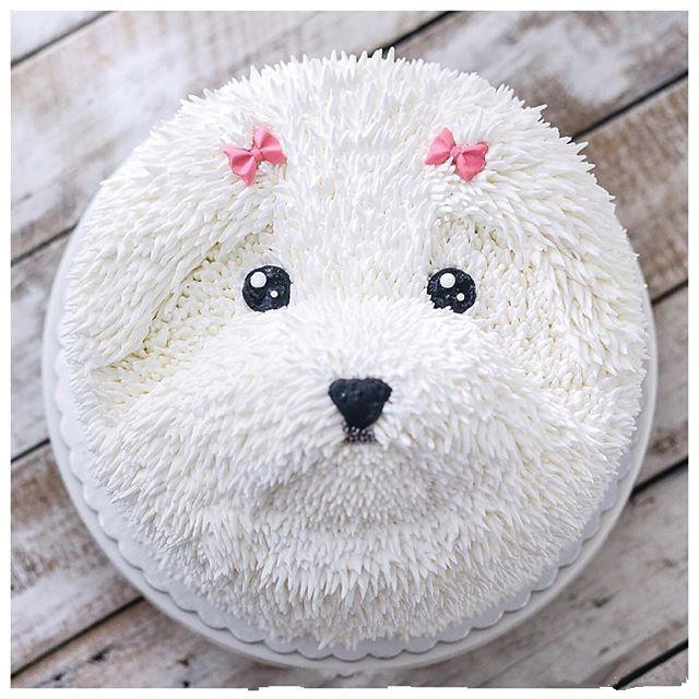 萌萌的小狗蛋糕,看看有你喜欢的吗?