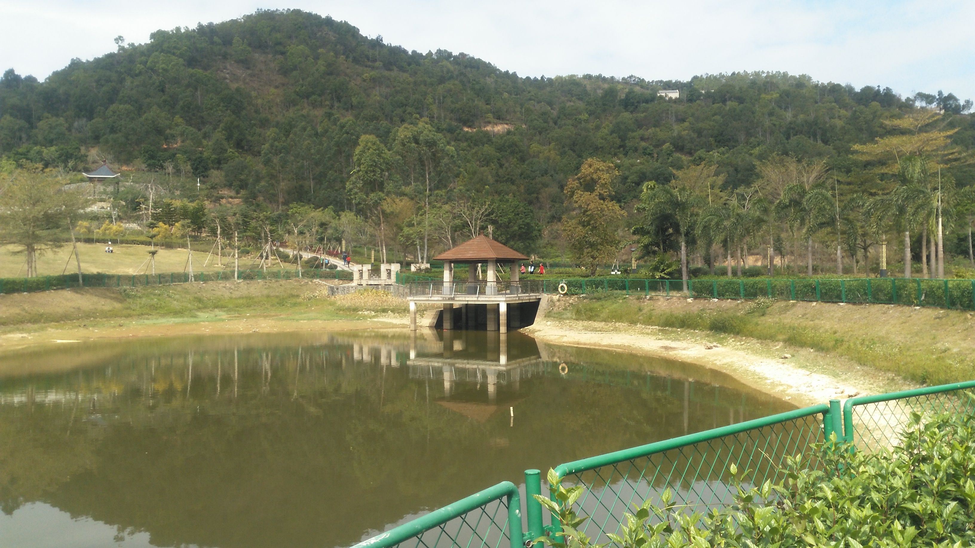 春節期間來到惠州大亞灣,遊板樟嶺森林公園