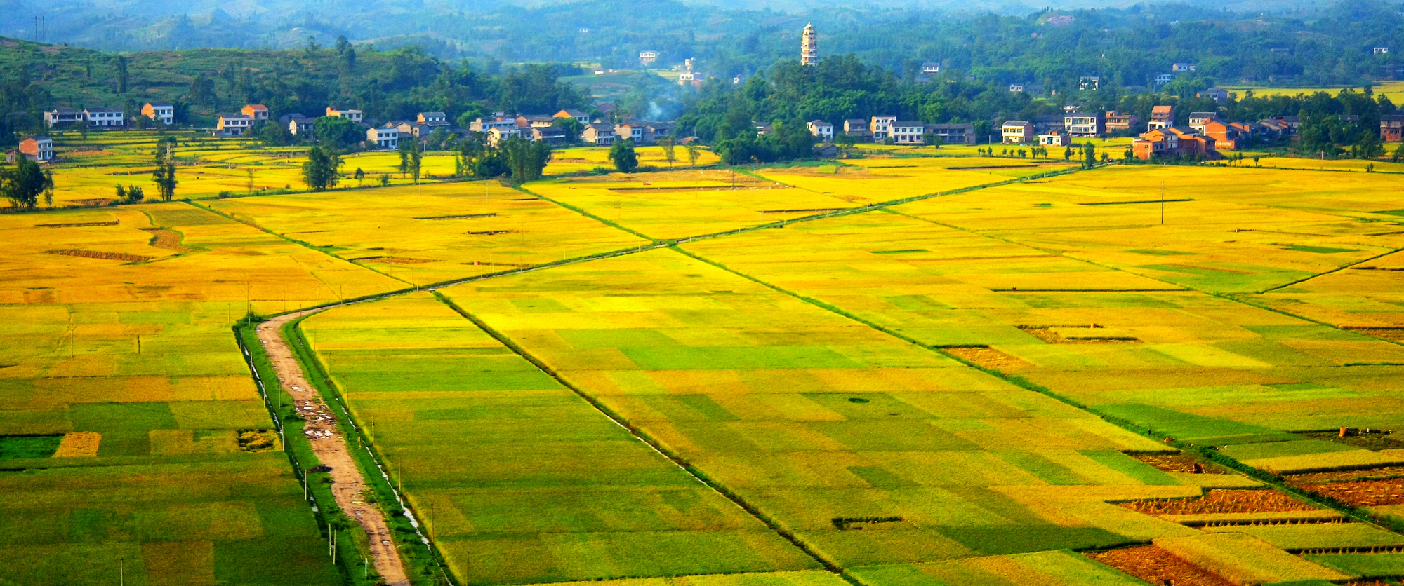高标准农田建设:八个字一张图