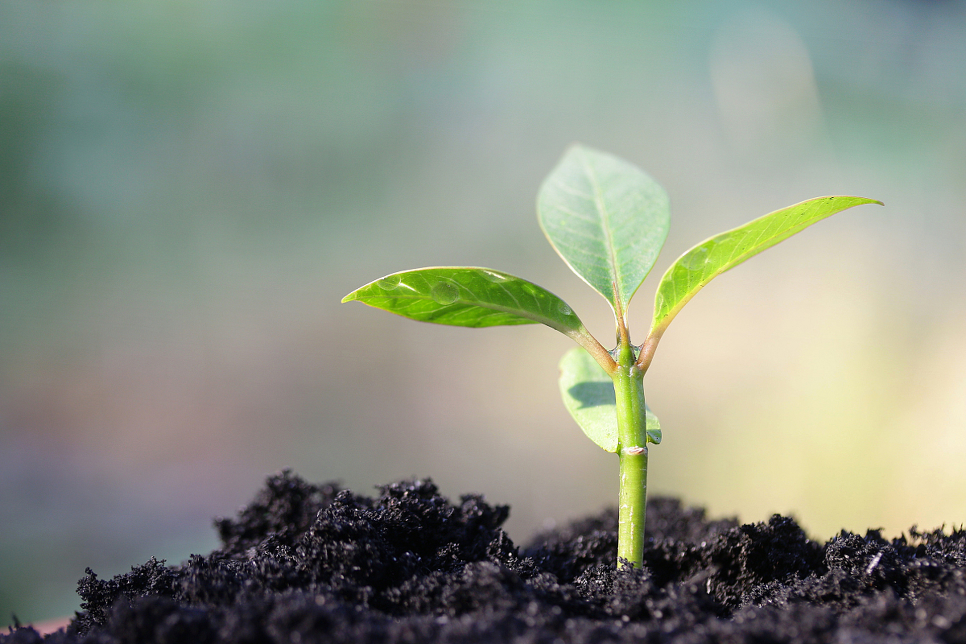 生命的意义# 生命的意义在于珍惜和善待.