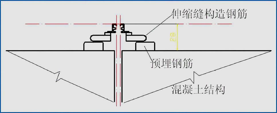 桥梁伸缩缝钢筋布置图片