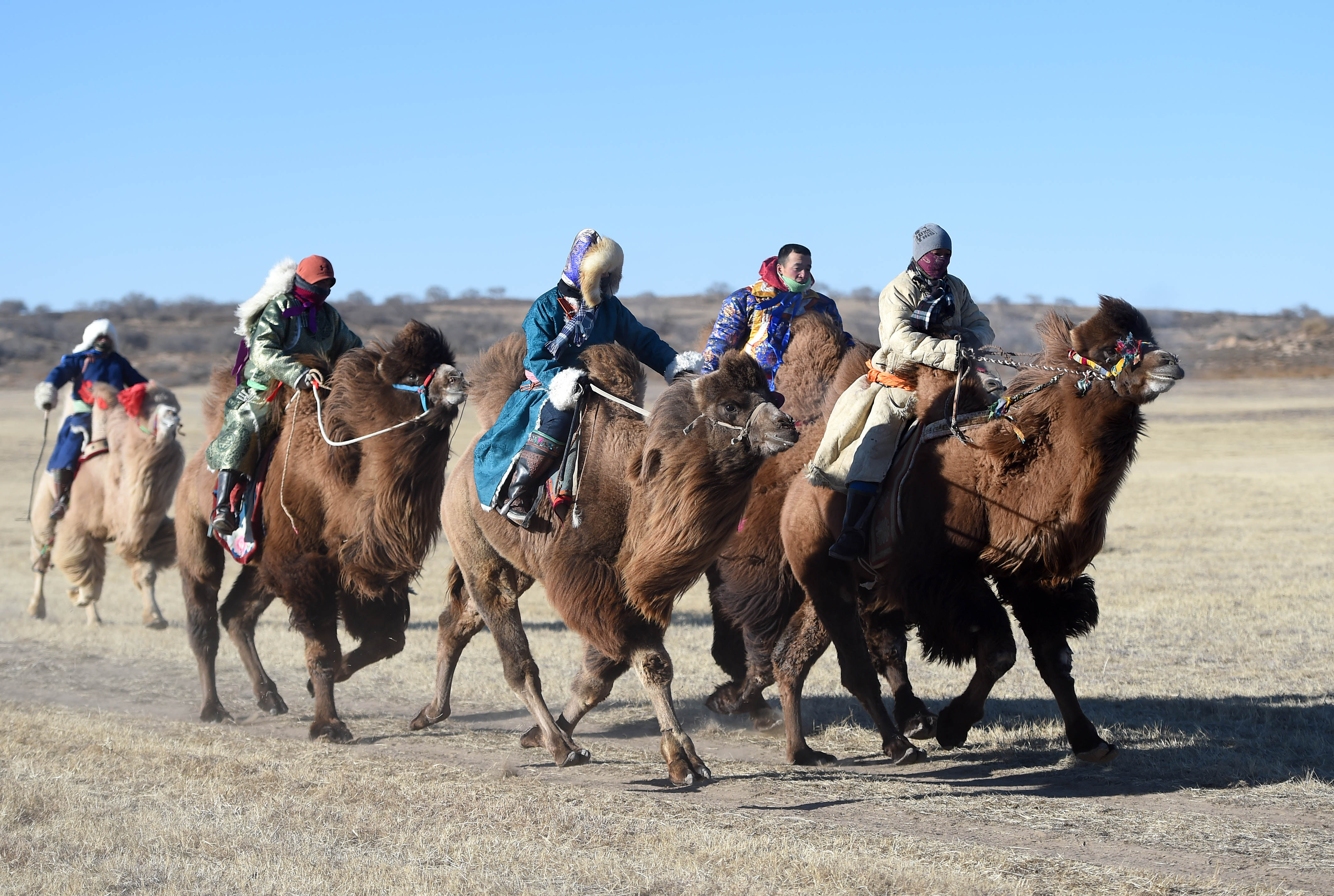 锡林郭勒草原上演精彩冬季那达慕
