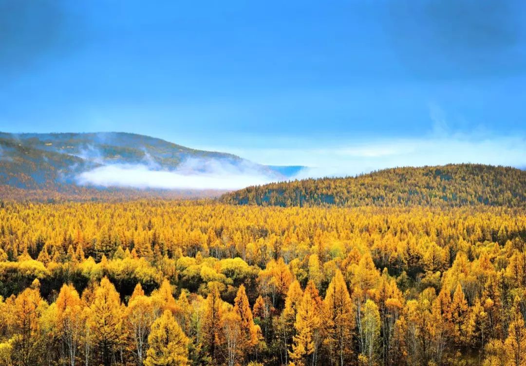 内蒙古,我伸手摸见天空的地方,是那么的美