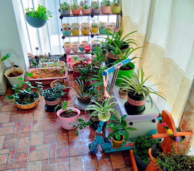 聪明人改造阳台,花盆都是这么摆,2天就能变花园!