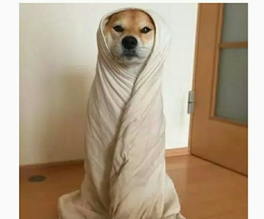 生活中笑料百出!囧事层出不穷.