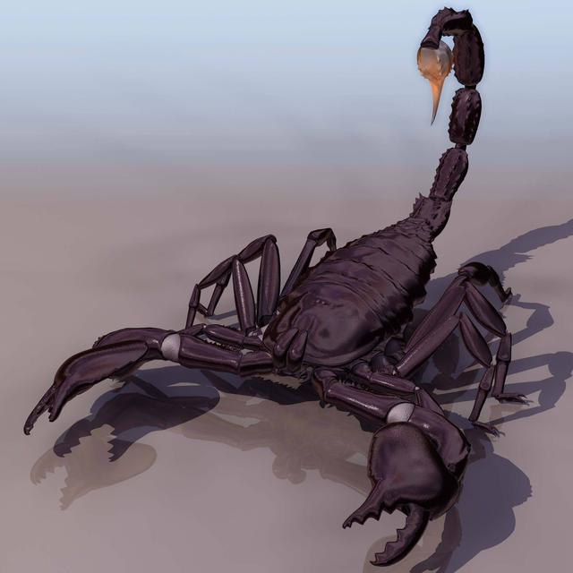 游戏空间闯入沙漠蝎魔大战15逃出蝎魔沙窝