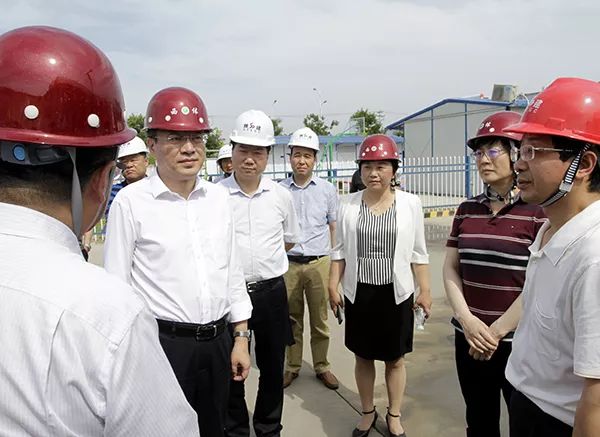 「调研」我委邢欣主任陪同市委常委,副市长高杲调研检查鄠邑区粮食"大