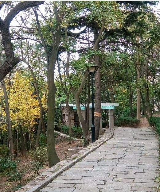 青岛观象山公园是青岛市"十大山头公园"之一,有时间来看看吧!