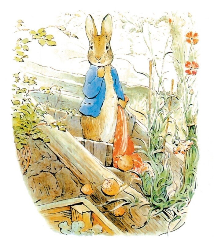 最美插画:你还记得彼得兔吗?它就像童年时的你一样淘气又可爱