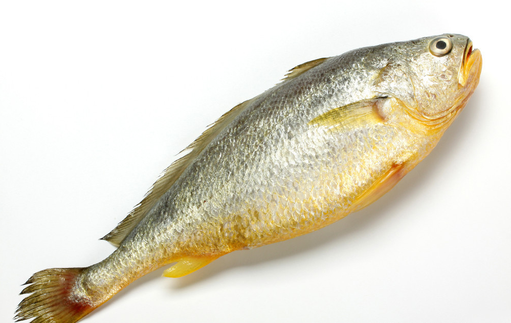 黄鱼- 热门商品专区