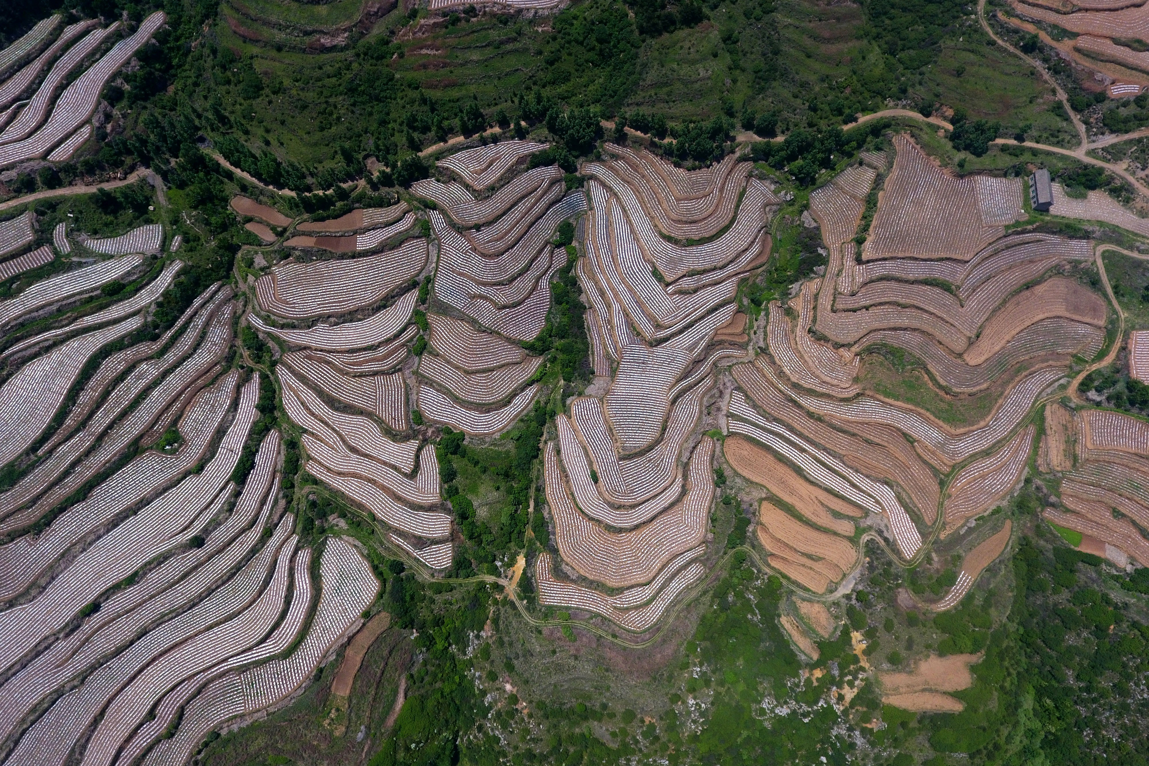 旱作梯田景如画(4)