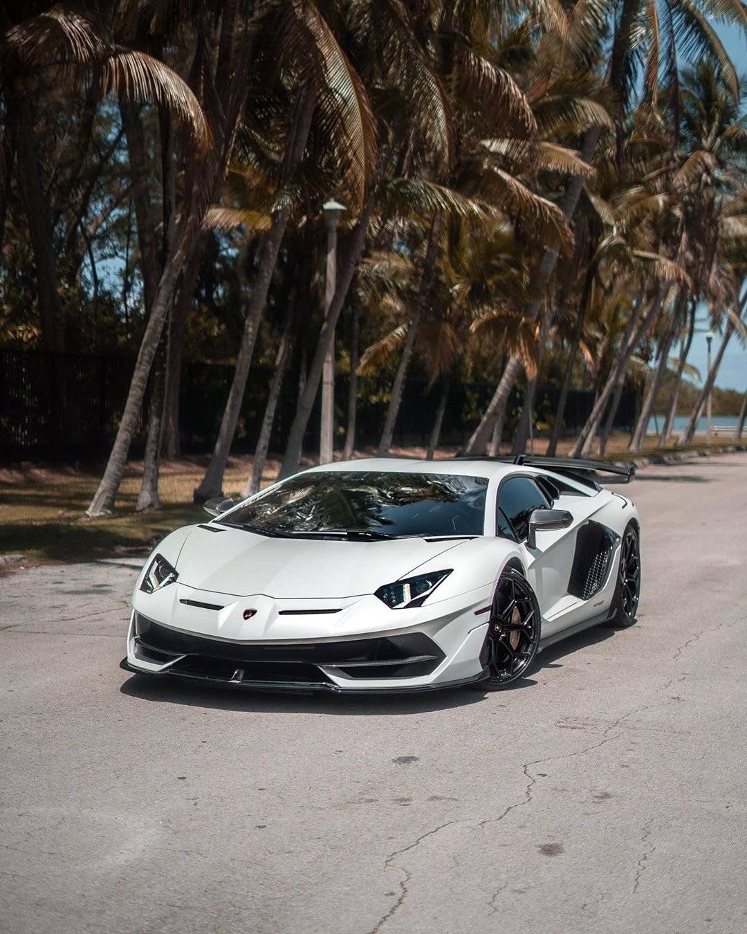 真正的兰博基尼大牛现身,这台纯白svj简直酷到没朋友!