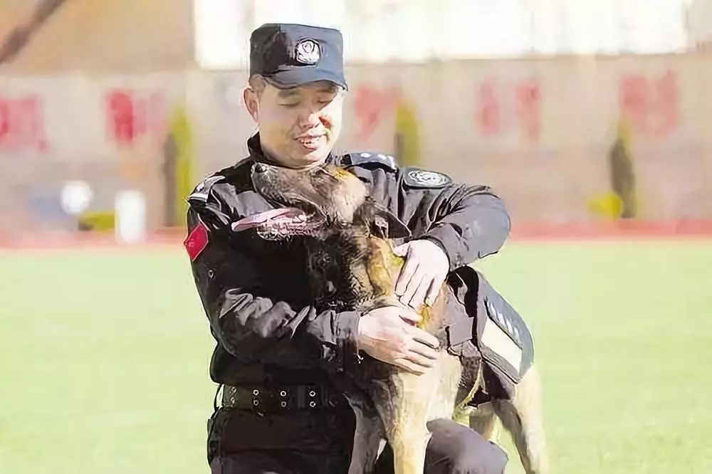 警犬"黑龙"为山西争光,夺得首个全国第一