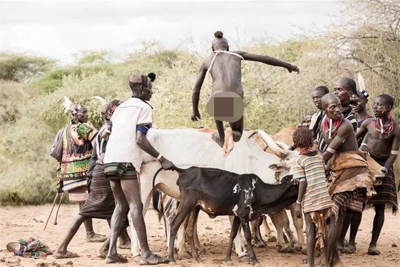 非洲奇葩成年仪式,男子裸身跳牛彰显"本色",女子争相求鞭打
