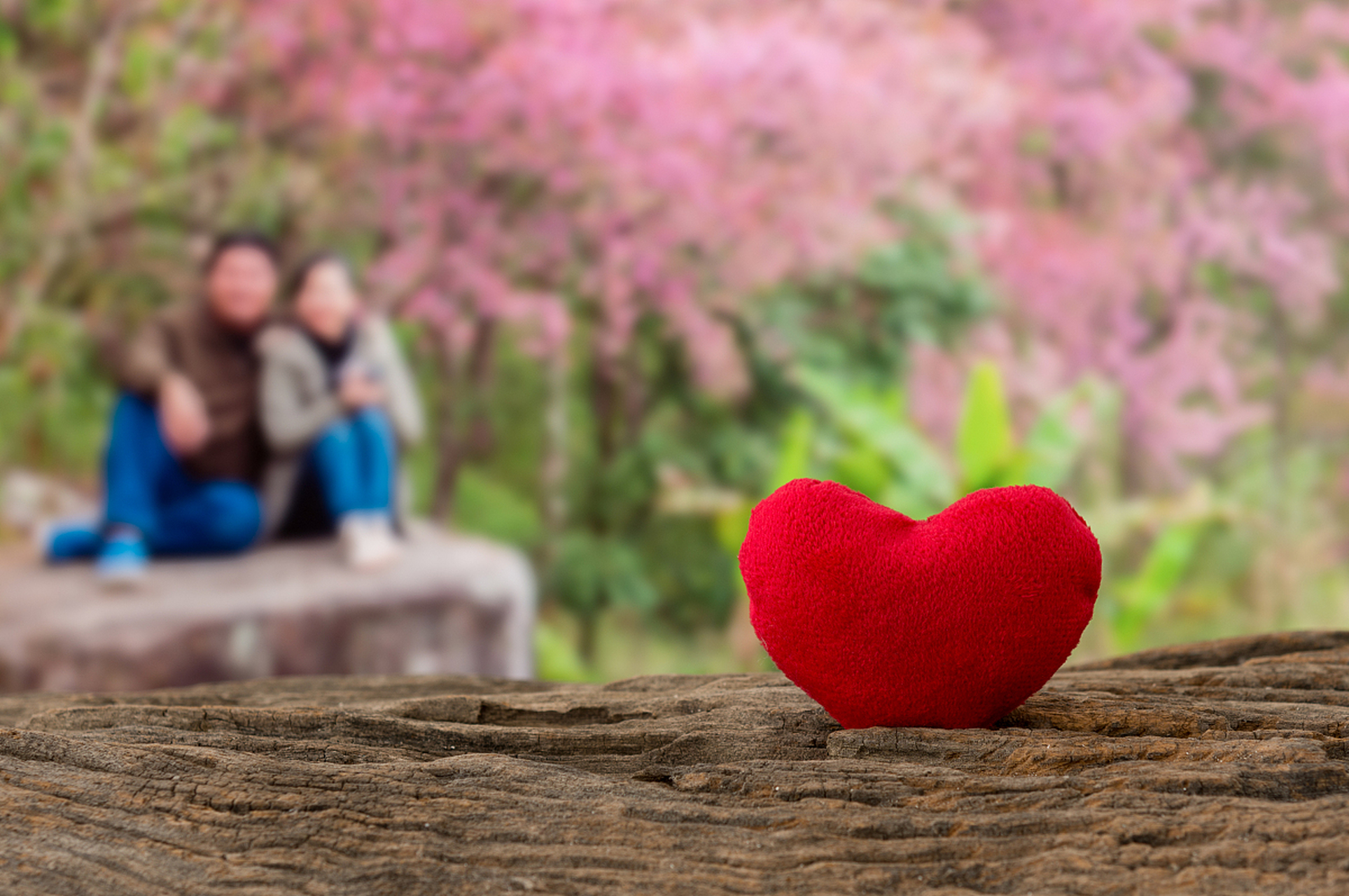 爱情,就像一首优美的诗篇,需要我们用心去吟唱,字里行间流淌着深情.