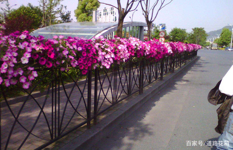 道路花箱如何提升城市美感 嘉兴市博苑园林景观有限公司 道路花箱如何提升城市美感 嘉兴市博苑园林景观有限公司