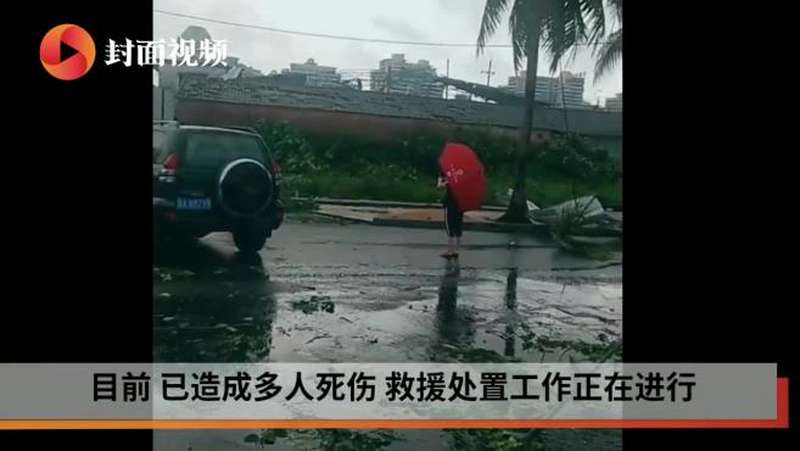 实拍海南龙卷风灾后现场 大量树木房屋倒塌狼藉一片,社会,灾难事故,好看视频