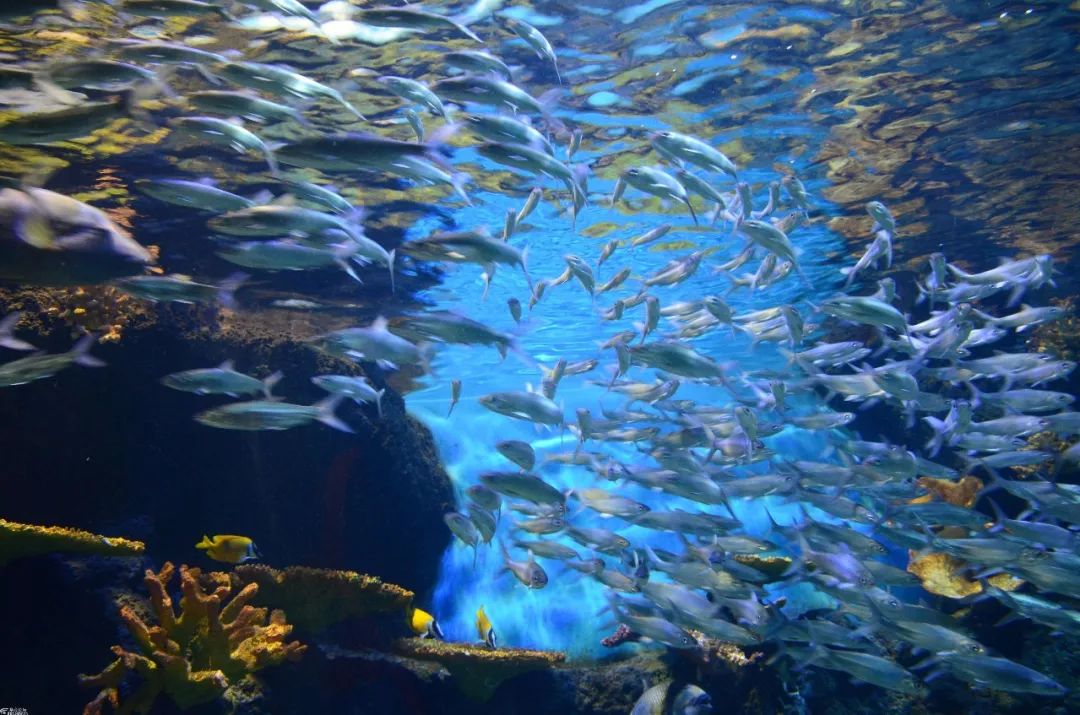 浐灞最好玩的打卡地 拿走不谢!