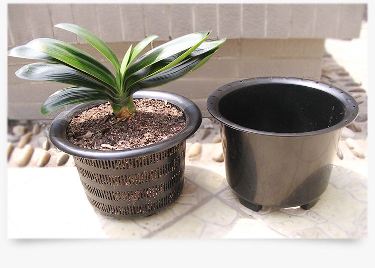 控根盆的原理是怎样的?用来养花具体有什么好处?