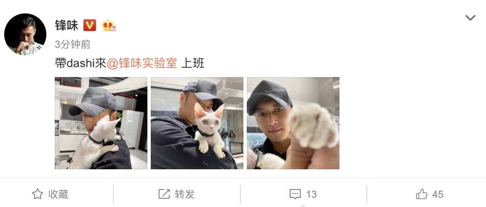 组图:谢霆锋化身猫奴抱爱宠dashi上班 戴鸭舌帽五官硬朗超帅气