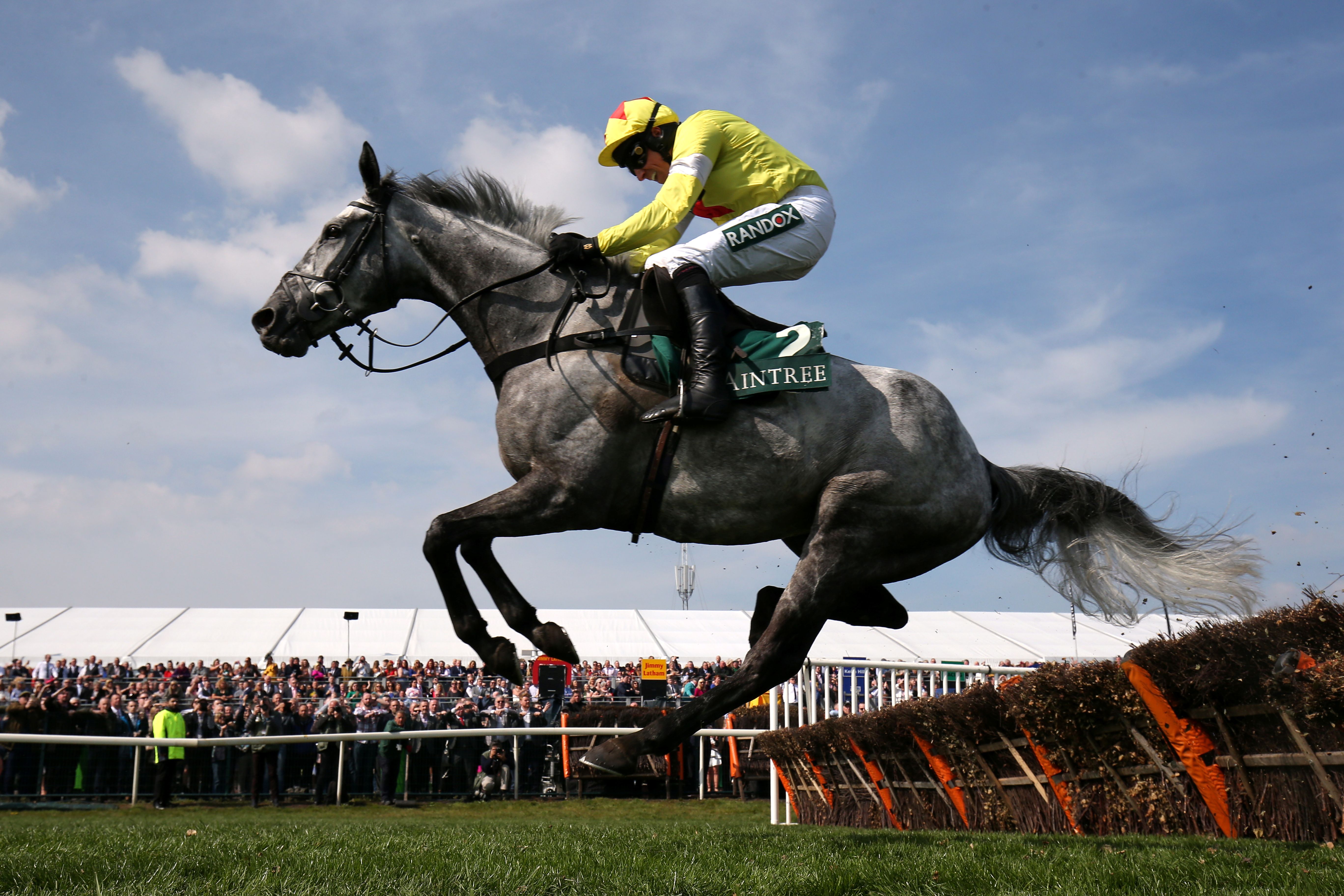 英国国家障碍赛马大赛落幕(7)