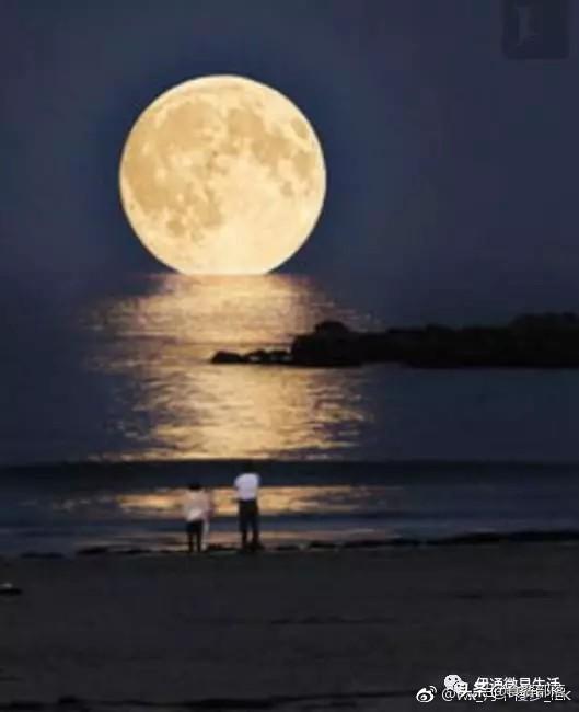 月夜相思情,你是我一生最美的思念.「情感美文」