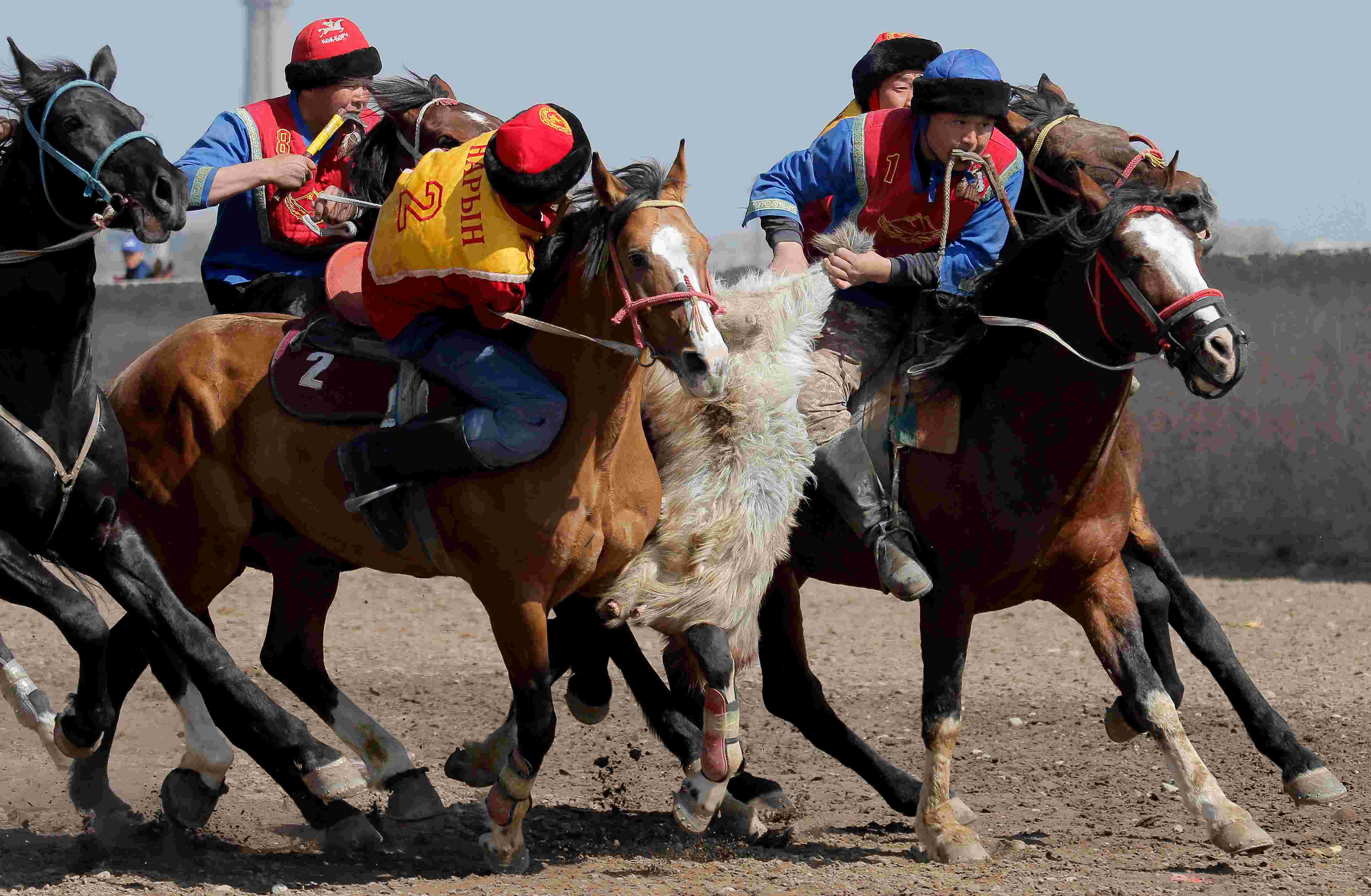 吉尔吉斯斯坦举办"马背叼羊"大赛 骑手飞身夺羊精彩刺激