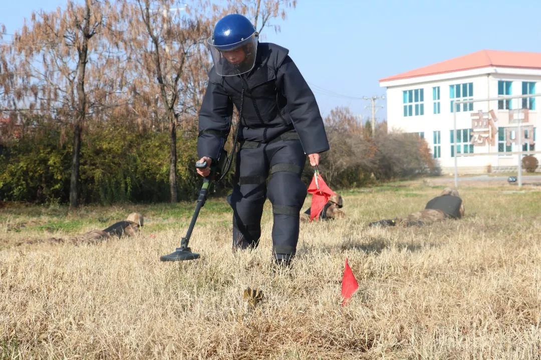 军用探雷器图片