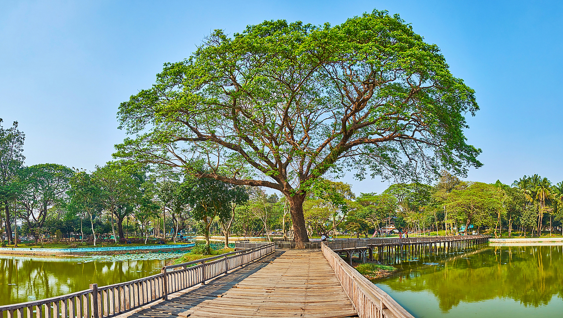 此外,榕枫公园也是一处优美的休闲胜地.