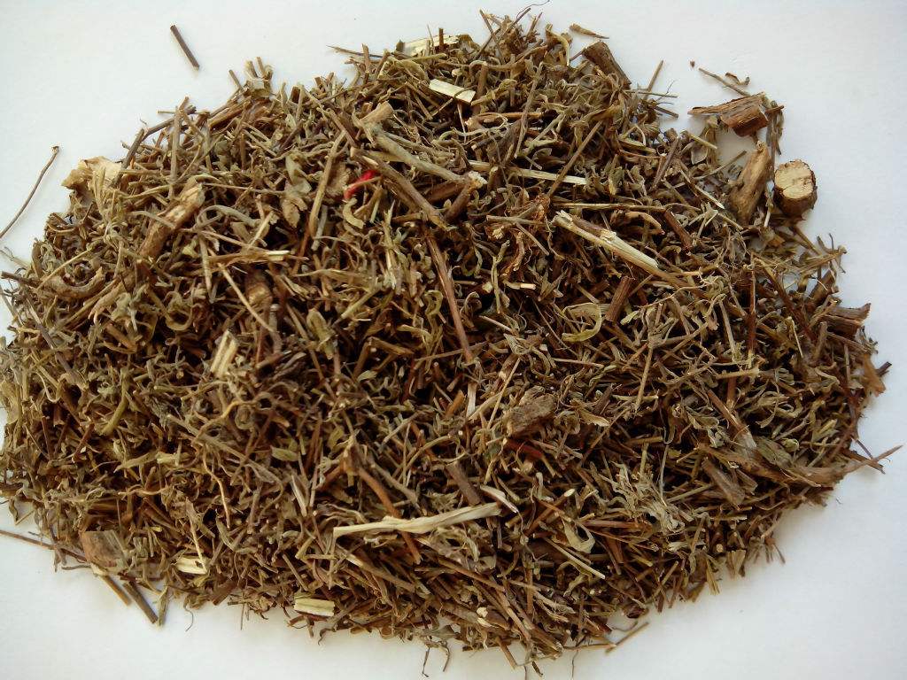 有五香菜之称的香薷,具有化湿和中的功效,他的种植技术是这些!